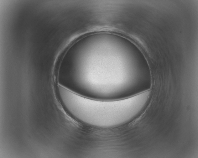 X0000072541414200607141024