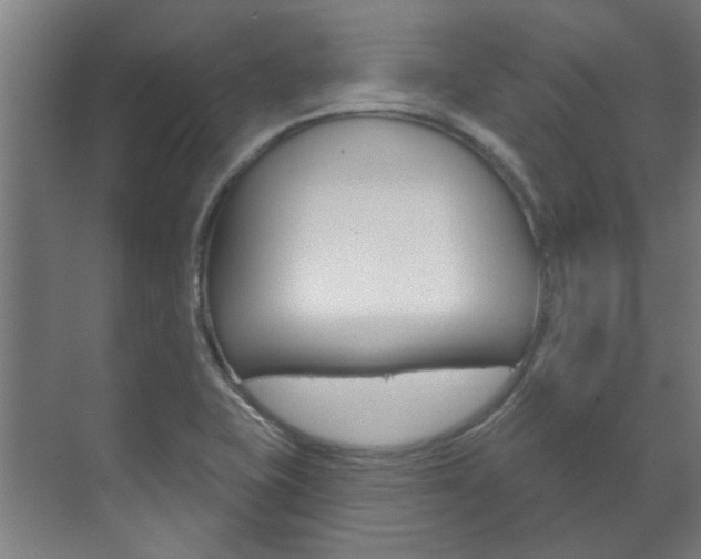 X0000072541415200607141024