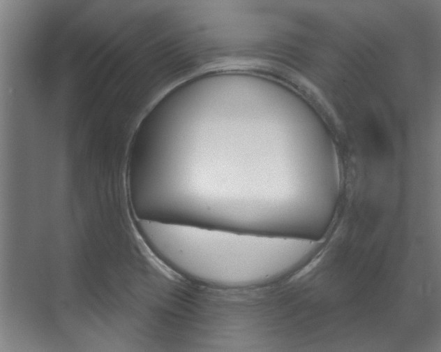 X0000072541417200607141024