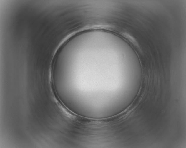 X0000072541420200607141024