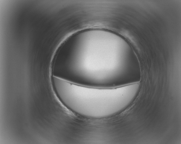 X0000072541424200607141024