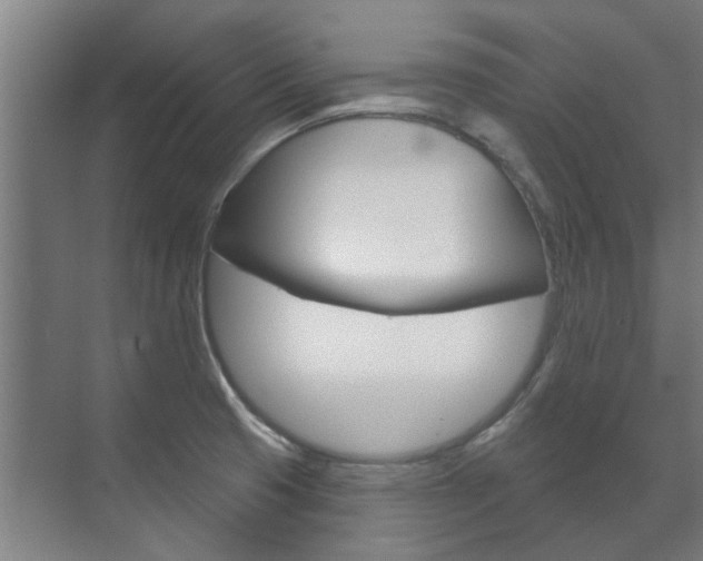 X0000072541425200607141024