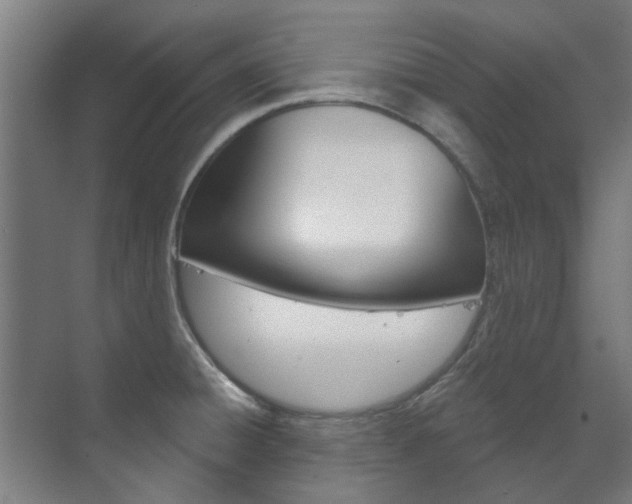 X0000072541428200607141024