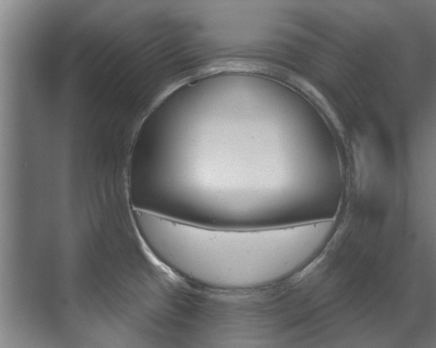 X0000072541433200607141025