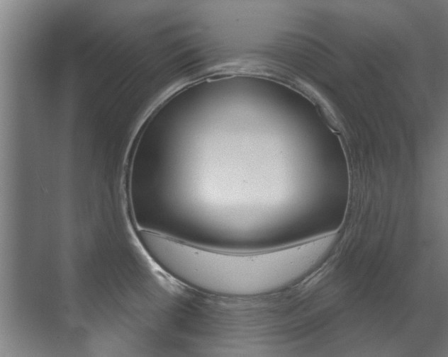 X0000072541434200607141025