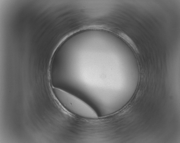 X0000072541436200607141025