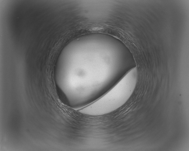 X0000072541441200607141024