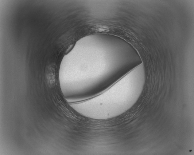 X0000072541442200607141024