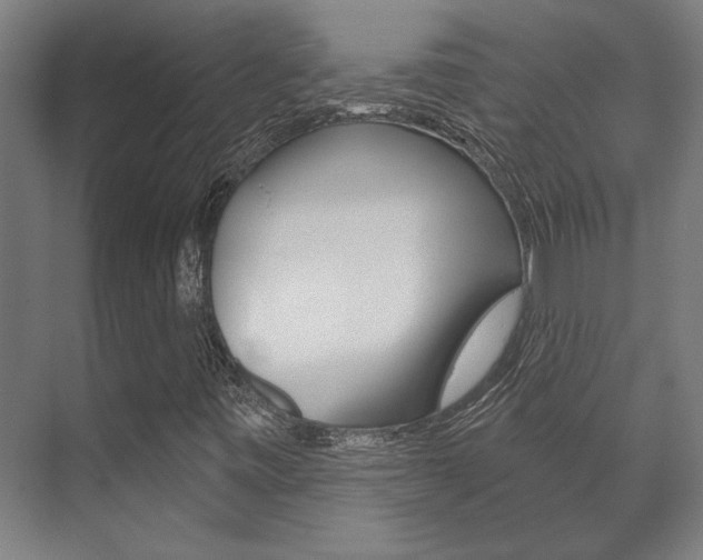 X0000072541443200607141024