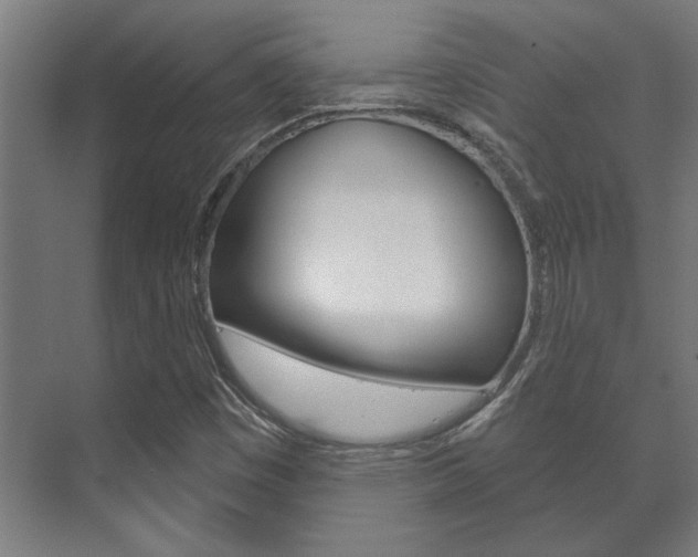 X0000072541449200607141024