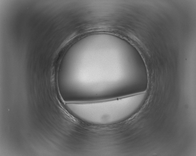 X0000072541450200607141024