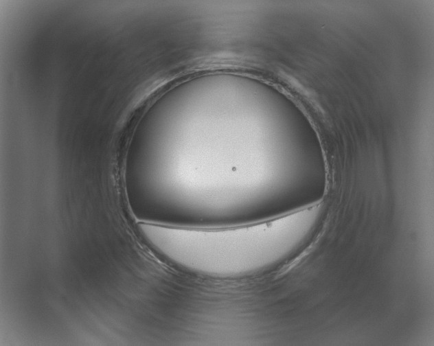 X0000072541453200607141024