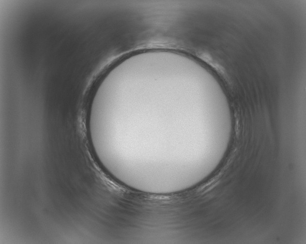 X0000072541454200607141024