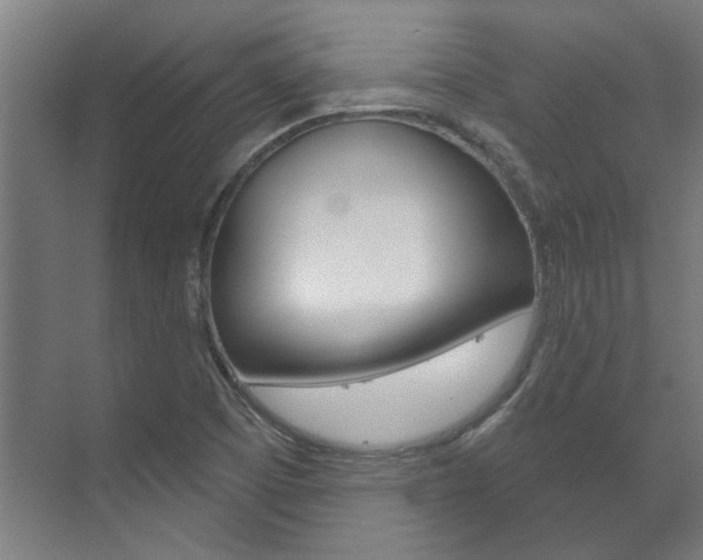 X0000072541457200607141024