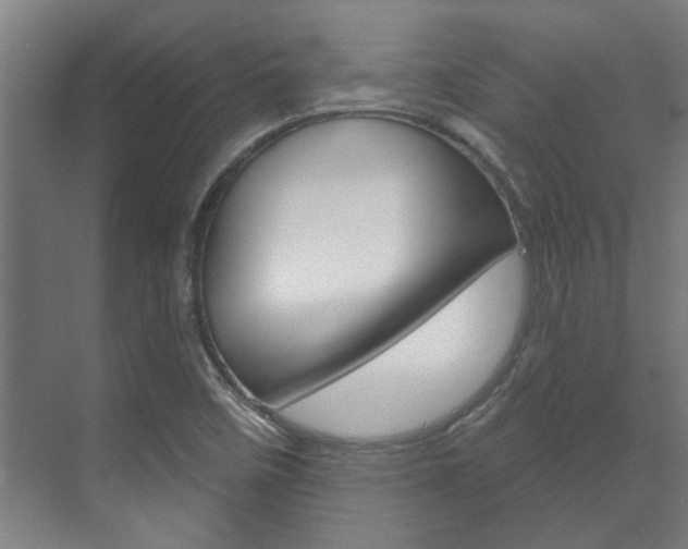 X0000072541458200607141024