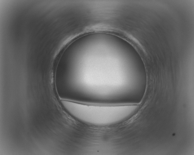 X0000072541461200607141024