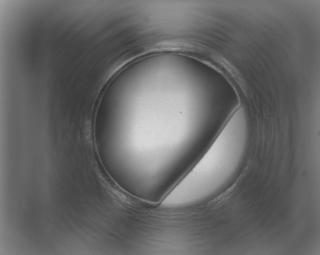 X0000072541465200607141023