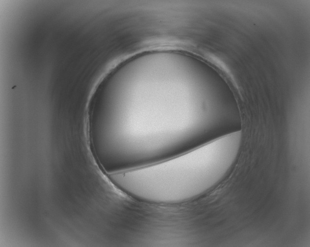 X0000072541472200607141023