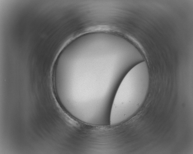X0000072541475200607141023