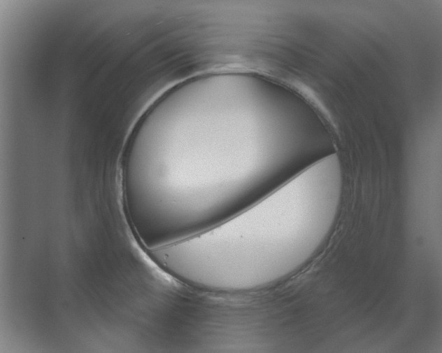 X0000072541476200607141023