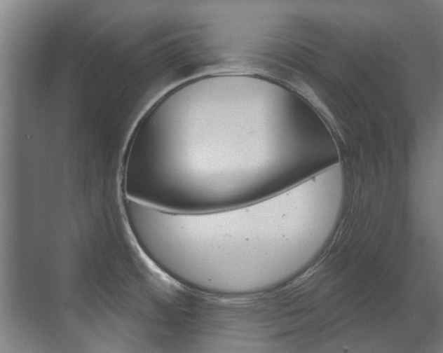 X0000072541484200607141023