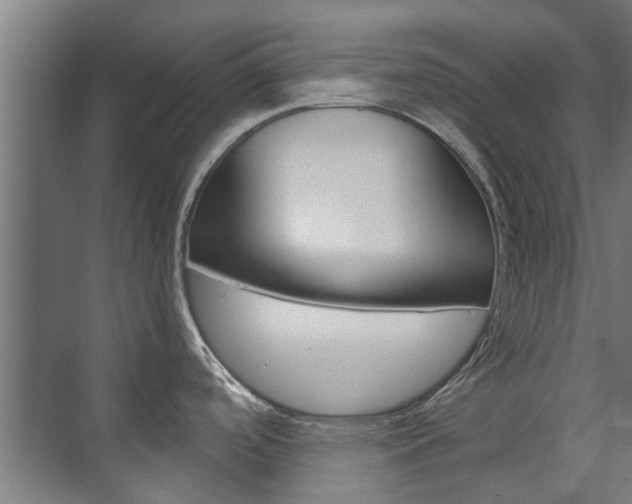 X0000072541488200607141023