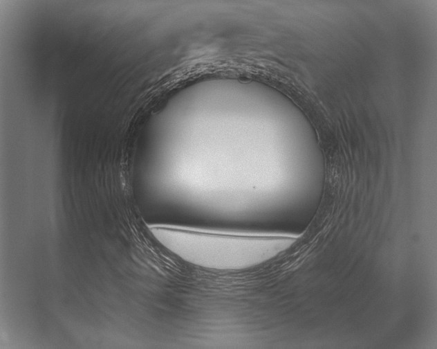 X0000072541490200607141022