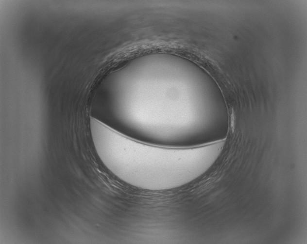 X0000072541492200607141022