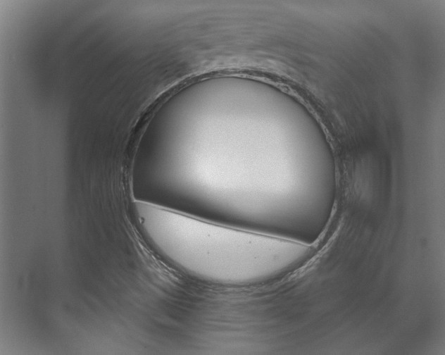 X0000072541497200607141022