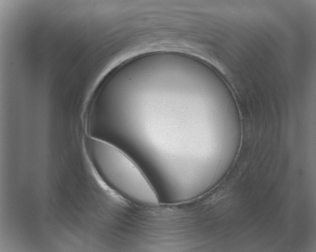 X0000072541515200607141023