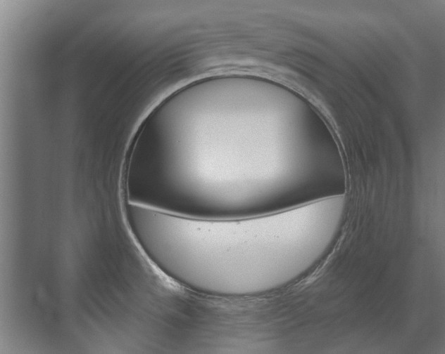 X0000072541533200607141023