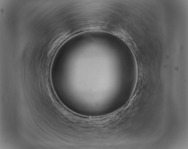 X0000072540001200607141239