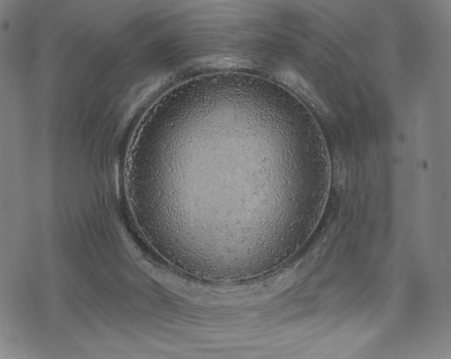 X0000072540014200607141239