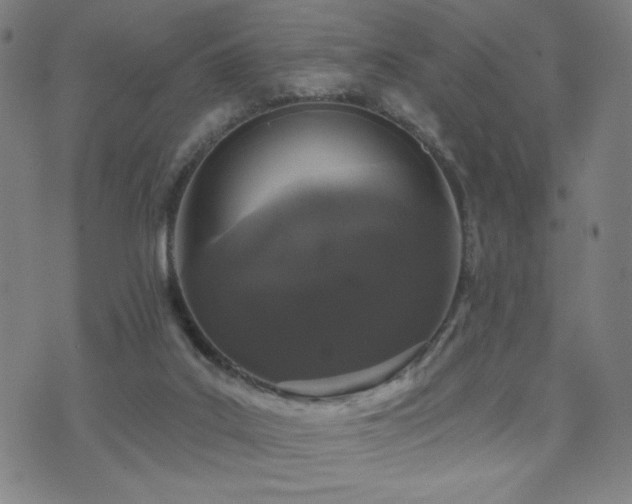 X0000072540019200607141239