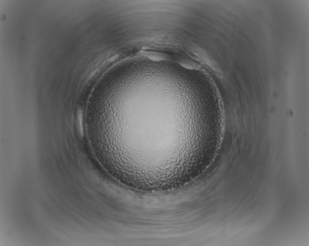X0000072540022200607141239