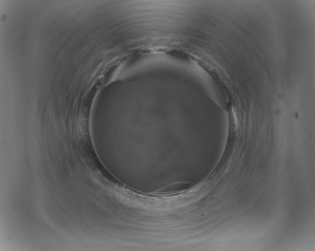 X0000072540035200607141239