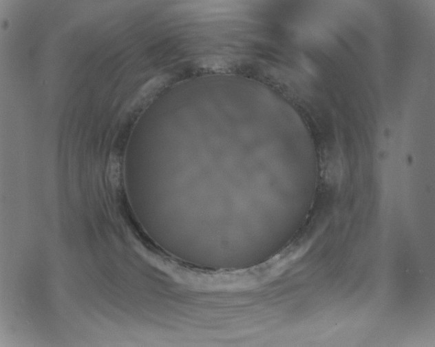X0000072540036200607141238