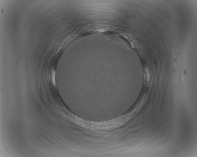 X0000072540046200607141238