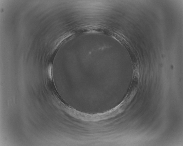 X0000072540047200607141238