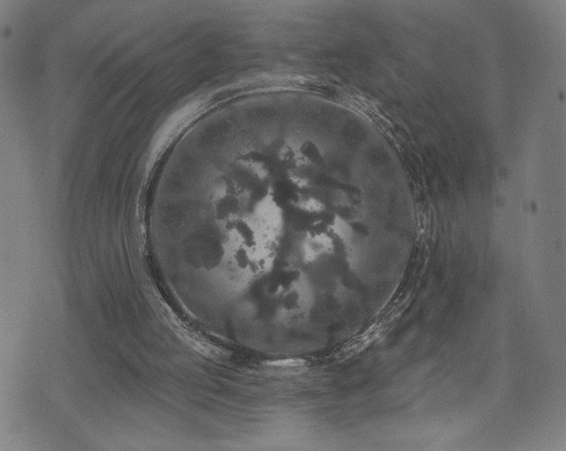 X0000072540053200607141237