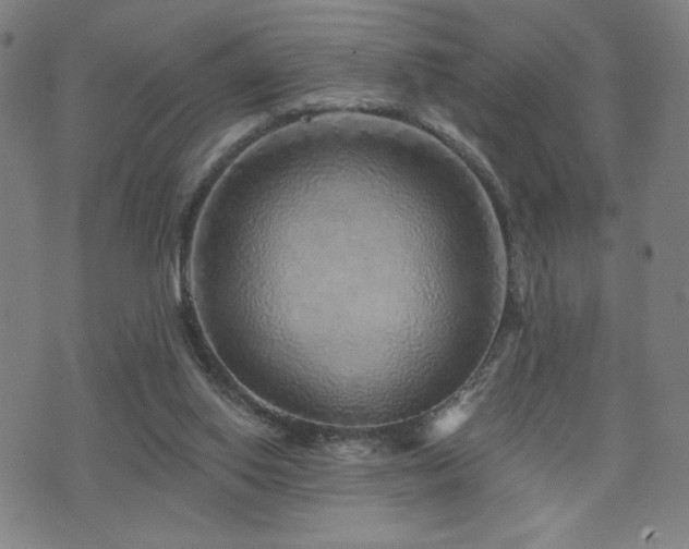 X0000072540062200607141238
