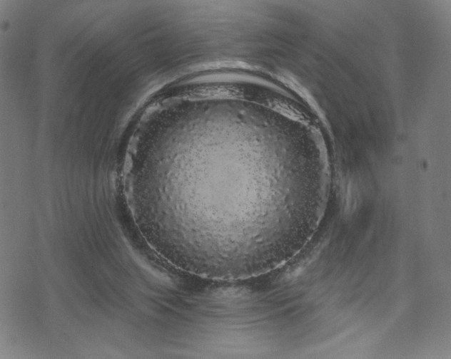 X0000072540063200607141238