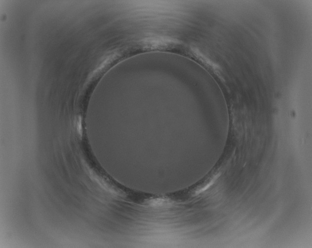 X0000072540067200607141238