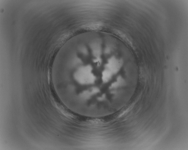 X0000072540069200607141238