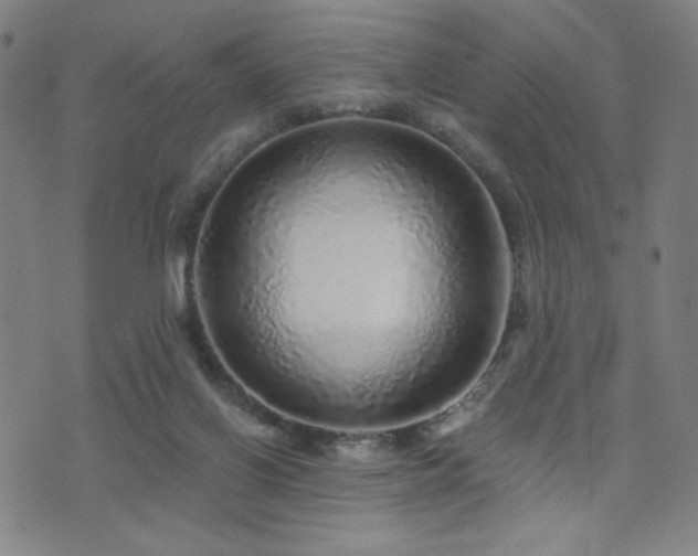X0000072540070200607141238