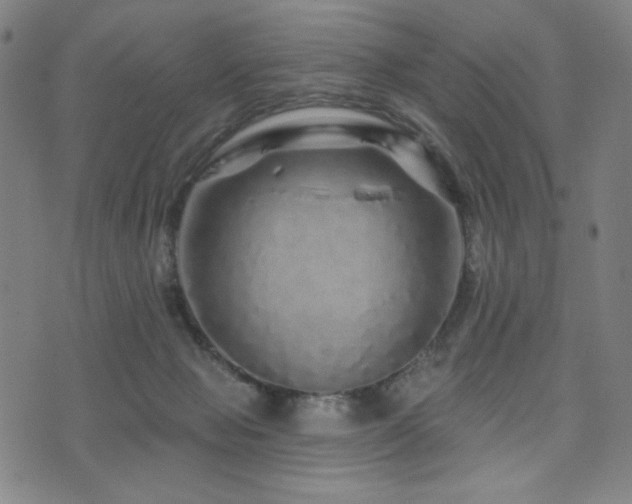 X0000072540077200607141238