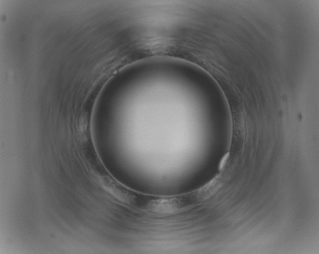 X0000072540082200607141238