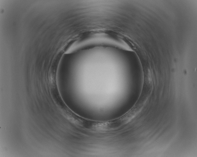 X0000072540084200607141238