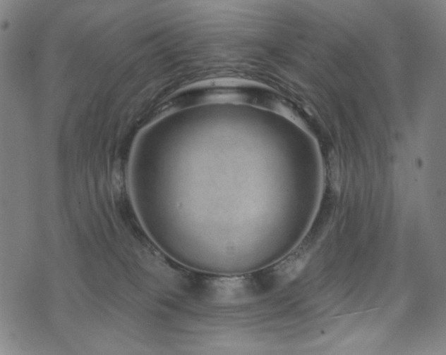 X0000072540085200607141238