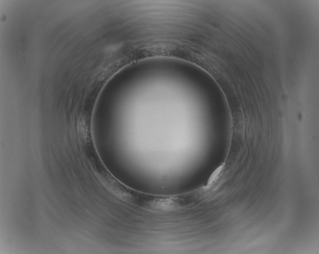 X0000072540086200607141238